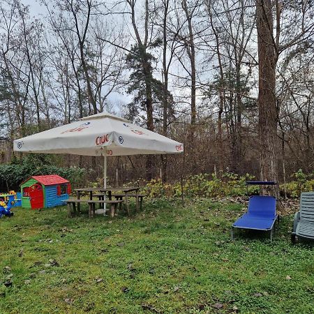Pensiunea Carpe Diem Râmnicu Vâlcea المظهر الخارجي الصورة